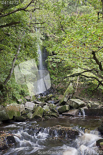 Image of Waterfall