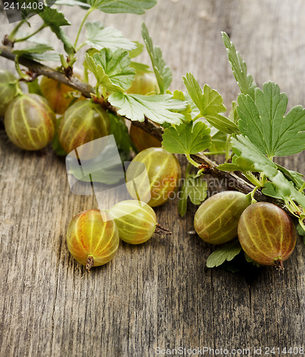 Image of Gooseberries 