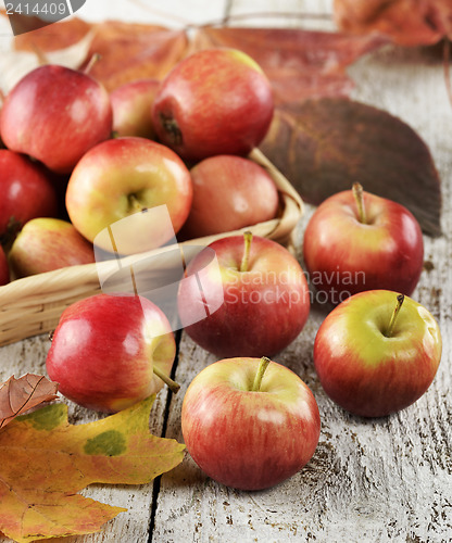 Image of Red Apples