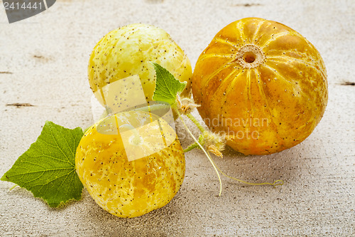 Image of lemon cucumbers