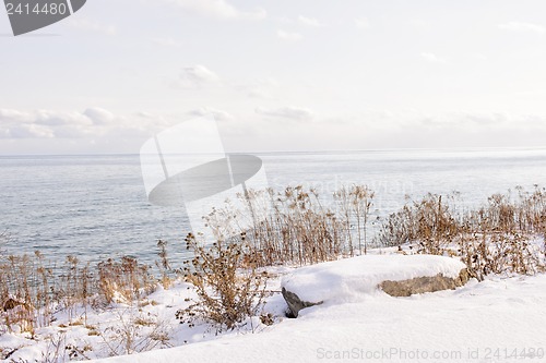 Image of Winter shore of lake Ontario