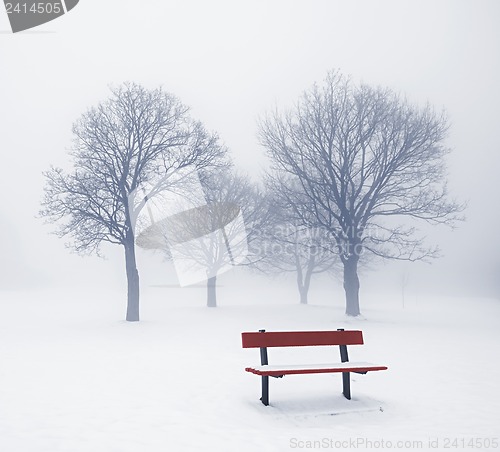 Image of Winter trees and bench in fog