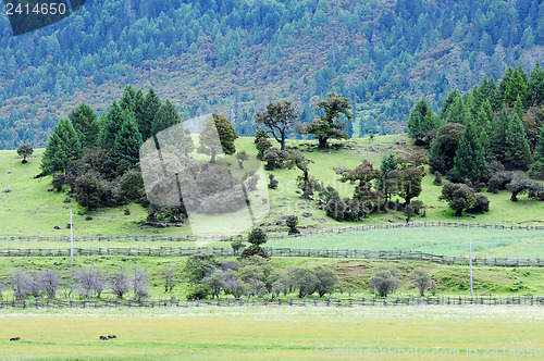 Image of Landscape in Tibet