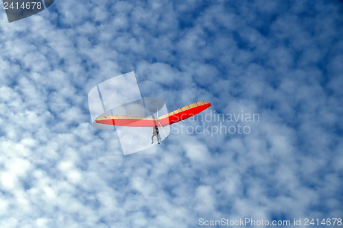 Image of Glider