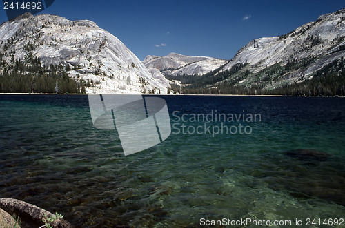 Image of Yosemite National Park