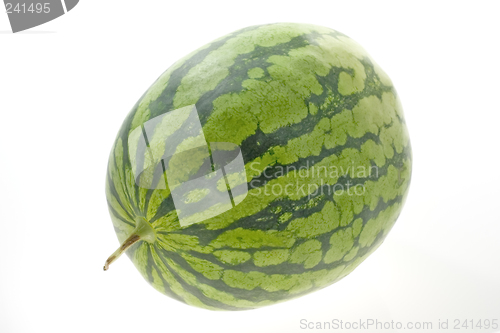 Image of Single whole watermelon

