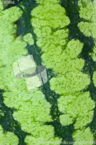 Image of Watermelon texture

