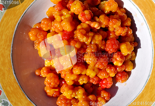 Image of Cloudberries