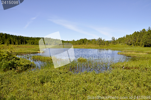 Image of Marshland with pond