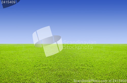 Image of Green meadow