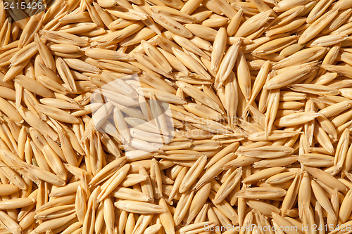 Image of Unshelled oats
