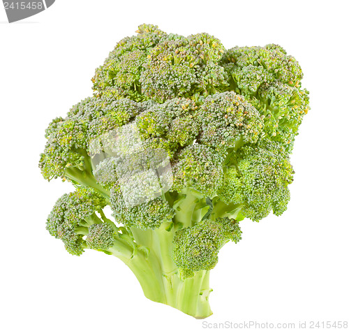 Image of Broccoli isolated