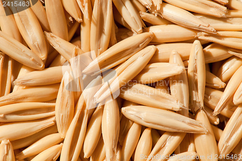 Image of Whole grain oats