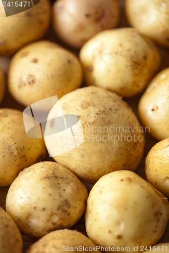 Image of Fresh potatoes