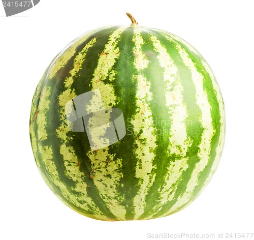 Image of Watermelon  isolated