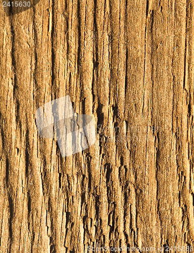 Image of Texture of wood