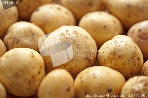 Image of Fresh potatoes