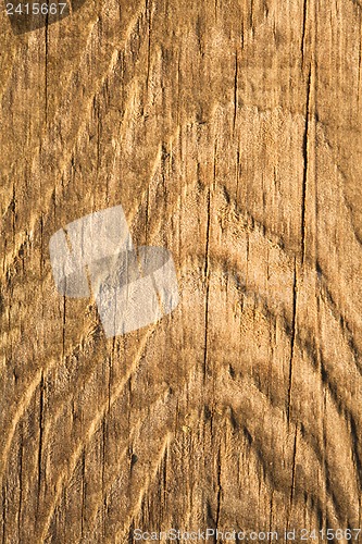 Image of Texture of wood