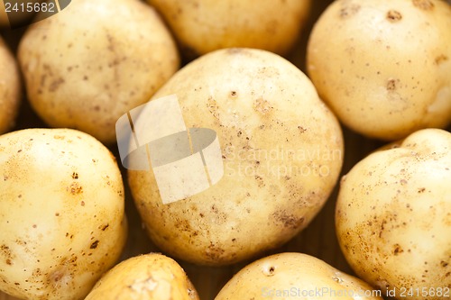 Image of Fresh potatoes