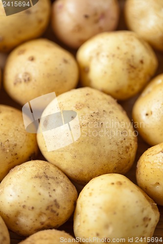 Image of Fresh potatoes