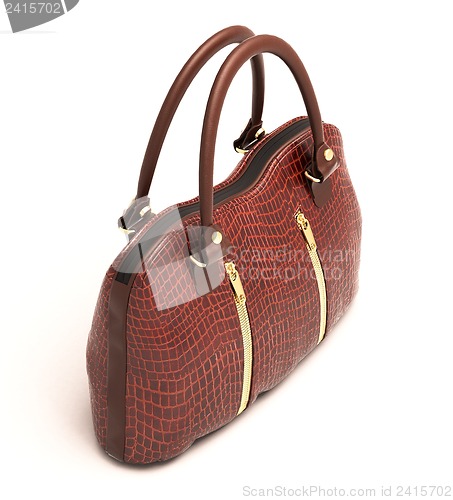 Image of Crocodile leather handbag isolated