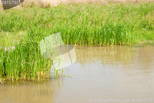 Image of Natural small pond