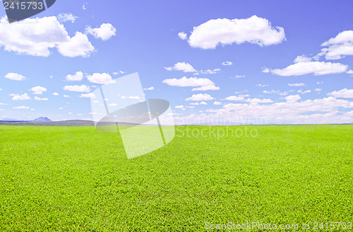 Image of Green field