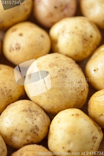 Image of Fresh potatoes