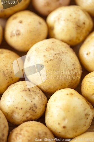 Image of Fresh potatoes