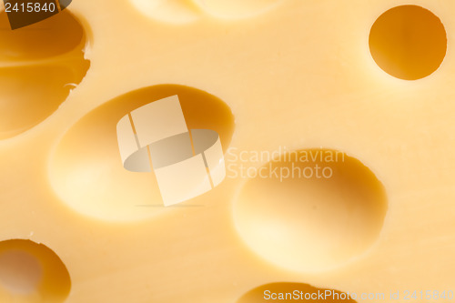 Image of Maasdam cheese