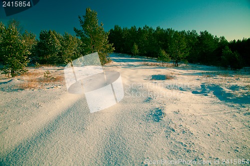 Image of Winter landscape