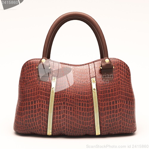 Image of Crocodile leather handbag isolated