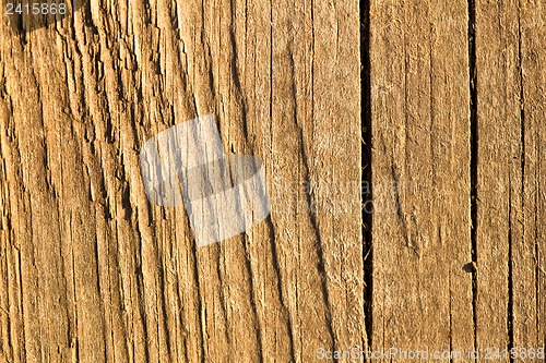 Image of Texture of wood