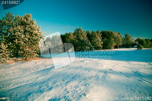 Image of Winter landscape