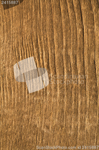 Image of Texture of wood