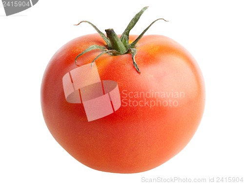 Image of Tomato isolated