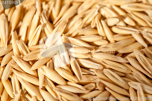 Image of Seeds of oats