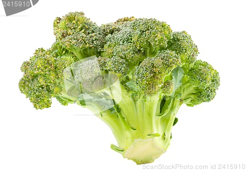 Image of Broccoli isolated