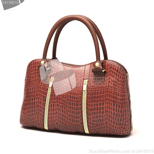 Image of Crocodile leather handbag isolated