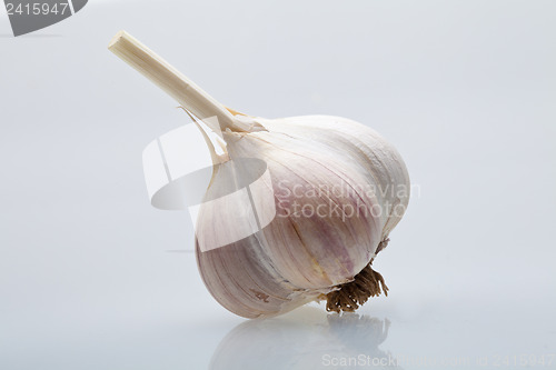 Image of Clove garlic