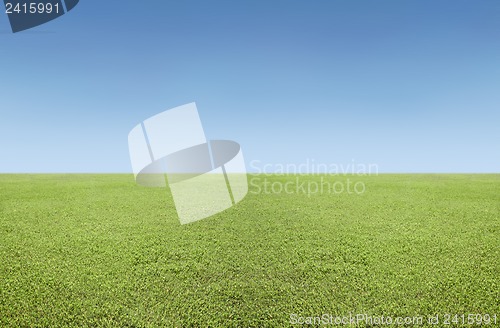 Image of Grass and sky