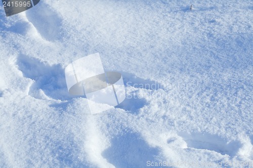 Image of Deep snow