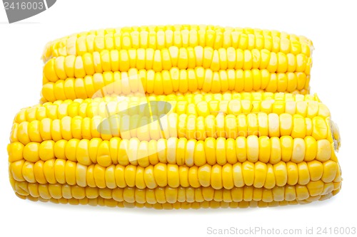 Image of Corn-cob isolated