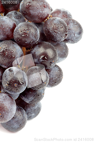 Image of Red Grape