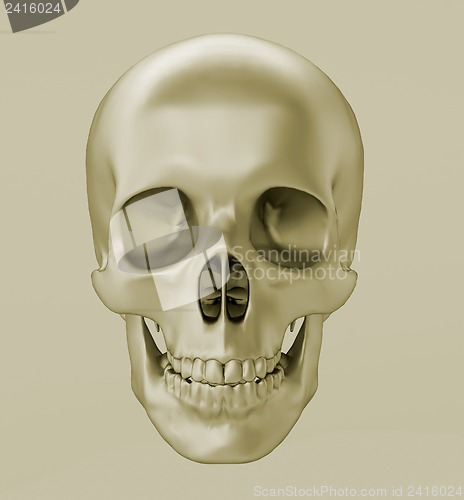 Image of Skull, 3d render