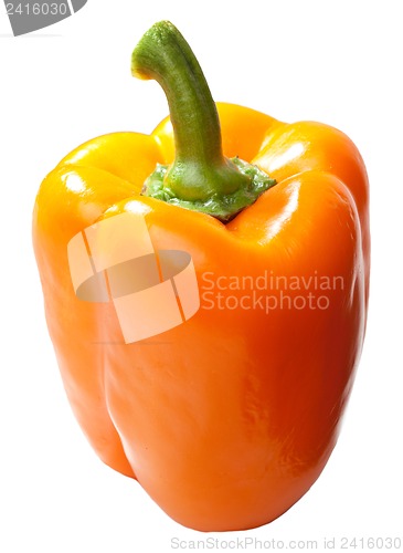 Image of Paprika isolated