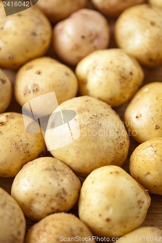 Image of Fresh potatoes