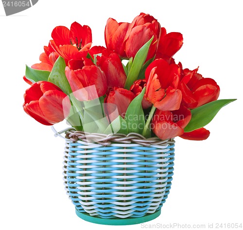 Image of Red tulips