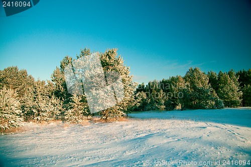 Image of Winter landscape