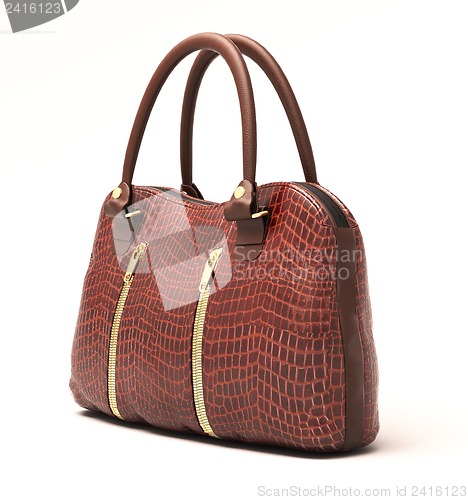 Image of Crocodile leather handbag isolated